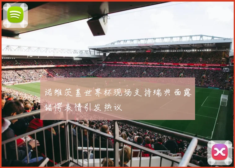 诺维茨基世界杯现场支持瑞典面露错愕表情引发热议